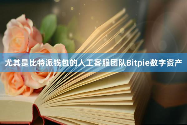 尤其是比特派钱包的人工客服团队Bitpie数字资产