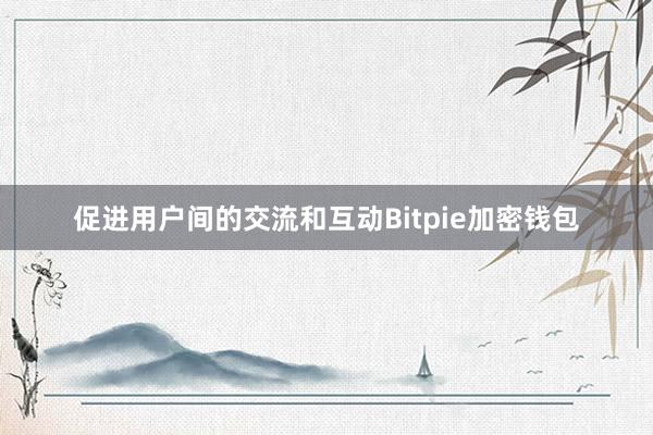 促进用户间的交流和互动Bitpie加密钱包