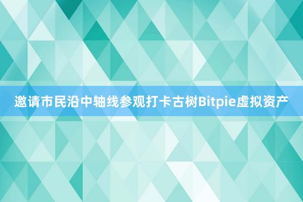 邀请市民沿中轴线参观打卡古树Bitpie虚拟资产