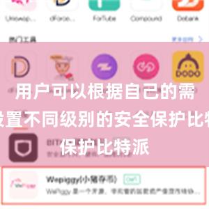 用户可以根据自己的需求设置不同级别的安全保护比特派